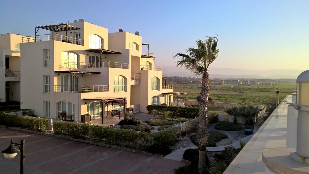Aphrodite Beachfront Penthouse Apartment Ghaziveran Exterior foto