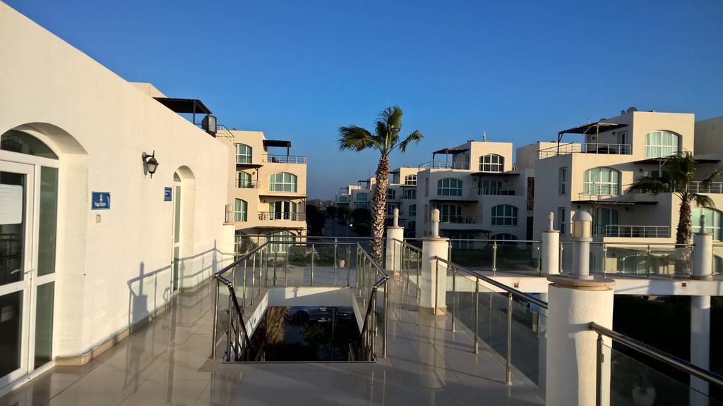 Aphrodite Beachfront Penthouse Apartment Ghaziveran Exterior foto