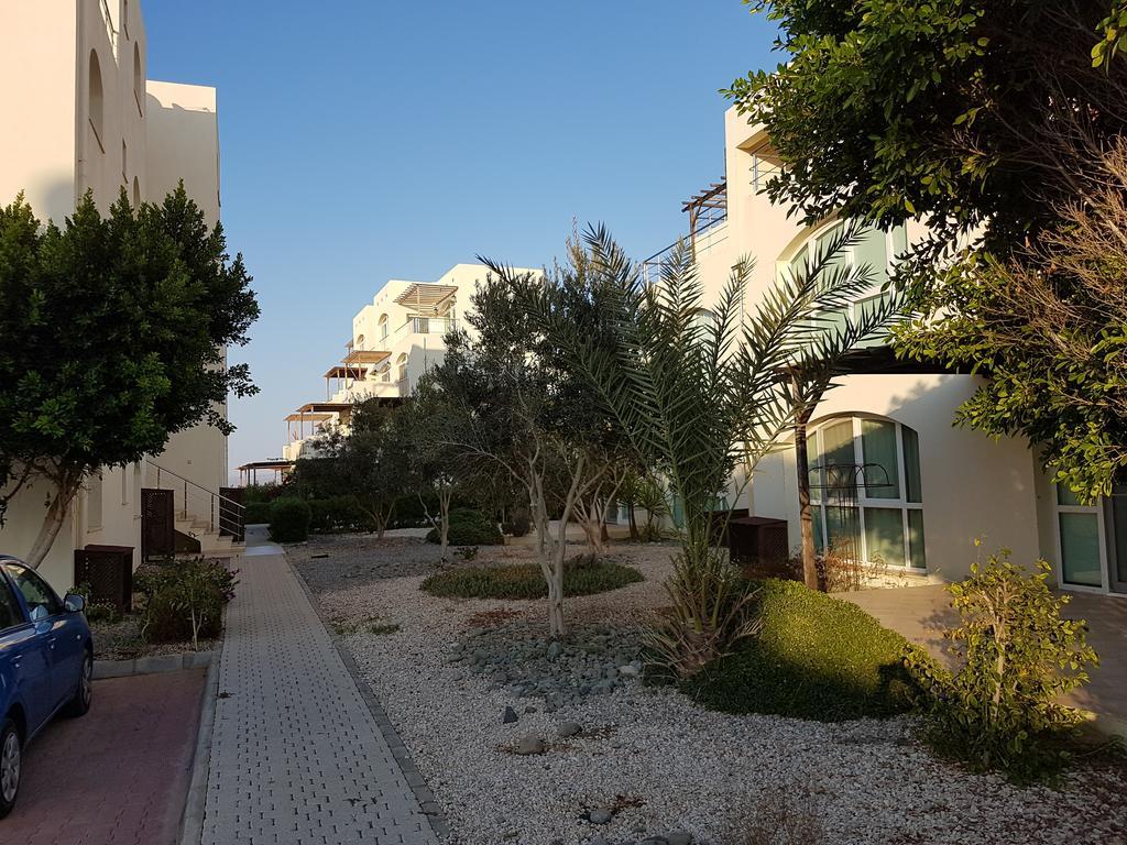Aphrodite Beachfront Penthouse Apartment Ghaziveran Exterior foto